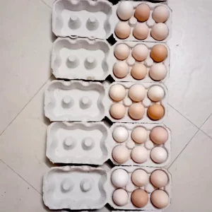 high-protein-eggs
